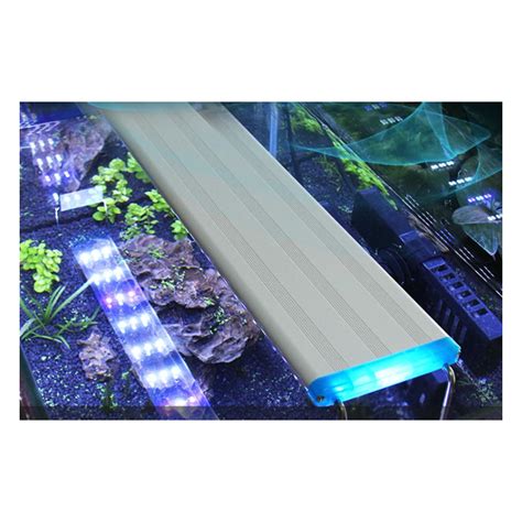 Led acuario PenalbaWeb.com