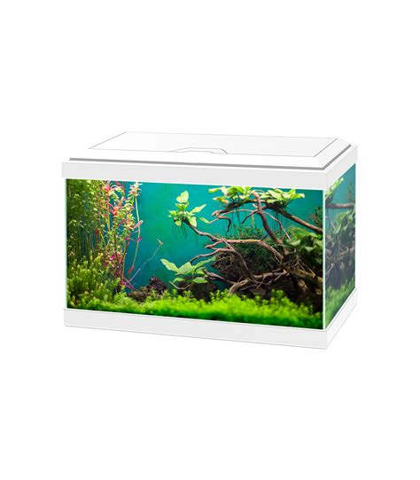Led blanco acuario PenalbaWeb.com