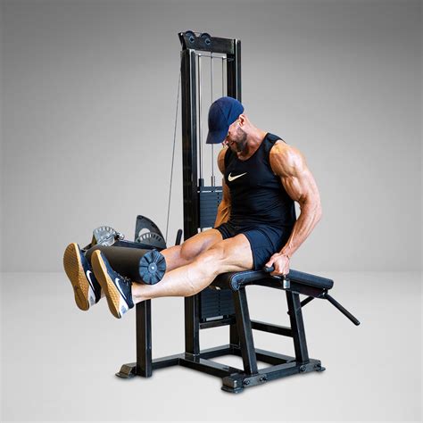 Leg curl extension PenalbaWeb.com
