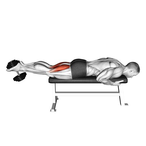 Leg curl PenalbaWeb.com