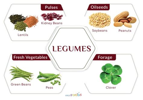 Legumes PenalbaWeb.com
