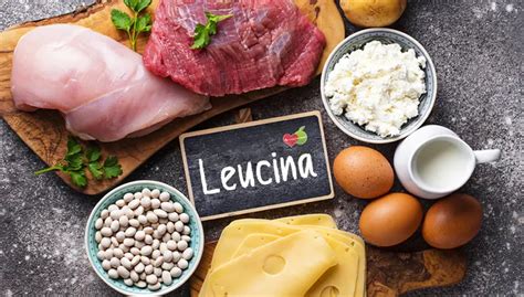 Leucina PenalbaWeb.com