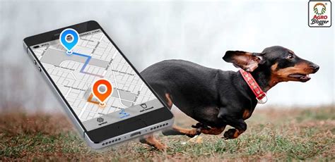 Localizador perros PenalbaWeb.com
