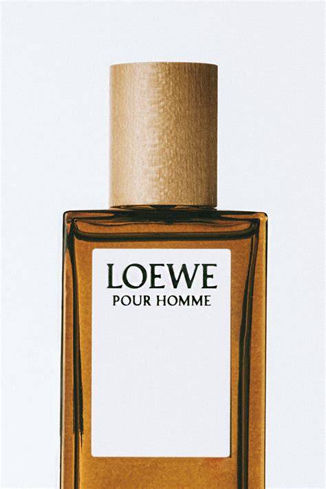 Loewe homme PenalbaWeb.com