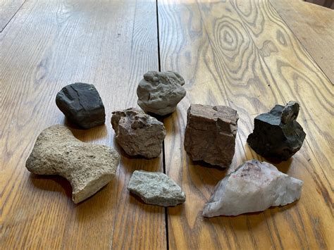 Lot fossil PenalbaWeb.com