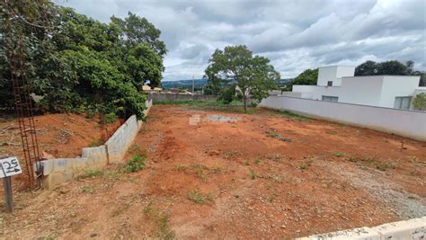 Lote 25 PenalbaWeb.com