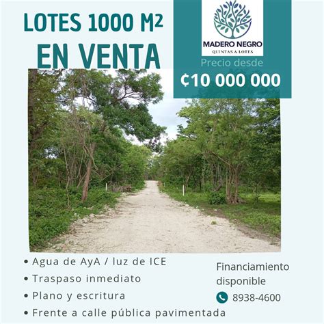 Lotes 1000 PenalbaWeb.com