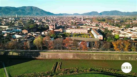 Lucca PenalbaWeb.com
