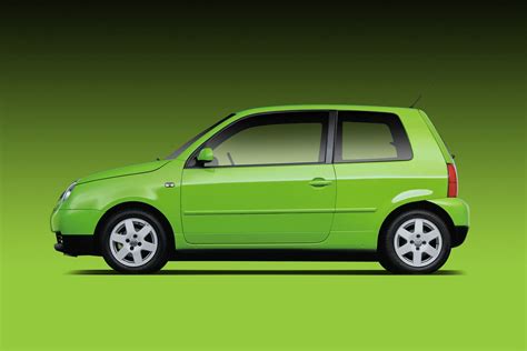 Lupo PenalbaWeb.com