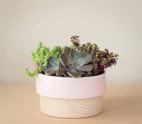 Maceteros ceramica PenalbaWeb.com