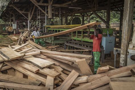 Madera africa PenalbaWeb.com