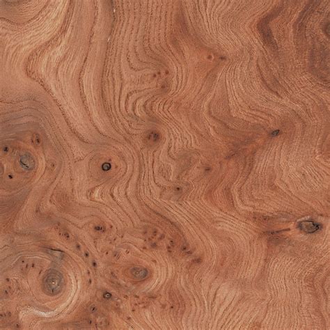 Madera olmo PenalbaWeb.com