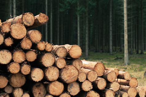 Madera PenalbaWeb.com