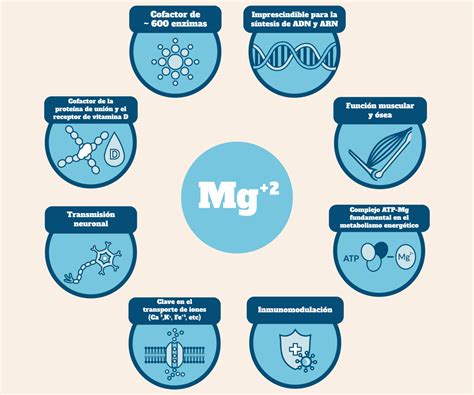 Magnesio PenalbaWeb.com