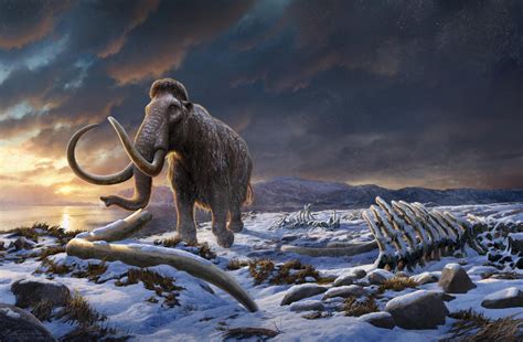 Mammoth PenalbaWeb.com