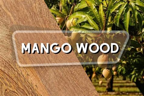 Mango wood PenalbaWeb.com