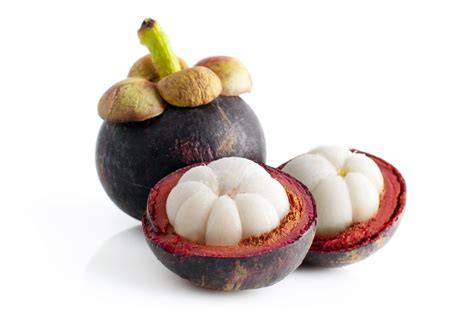 Mangostan PenalbaWeb.com