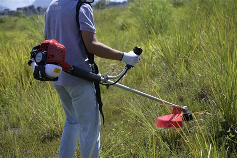 Maquina para cortar hierba PenalbaWeb.com