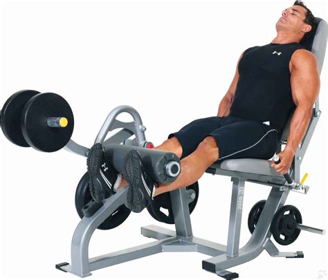 Maquina cuadriceps PenalbaWeb.com