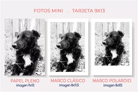 Marcos de fotos 9x13 PenalbaWeb.com