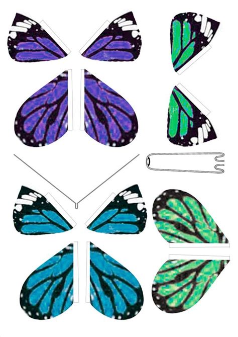 Mariposa voladora PenalbaWeb.com