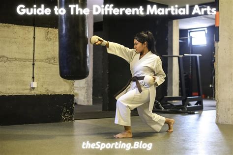 Martial arts PenalbaWeb.com