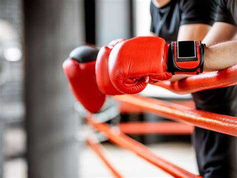 Material boxeo PenalbaWeb.com