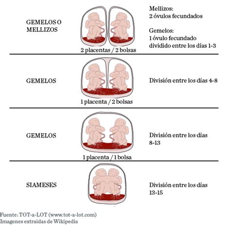 Mellizos gemelos PenalbaWeb.com