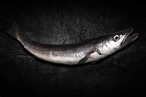 Merluza PenalbaWeb.com