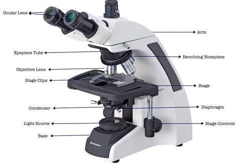 Microscope PenalbaWeb.com