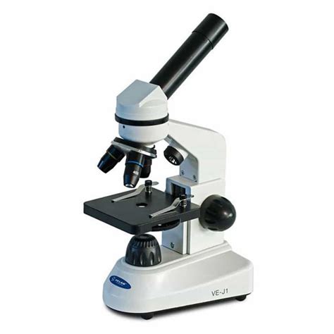 Microscopio monocular PenalbaWeb.com