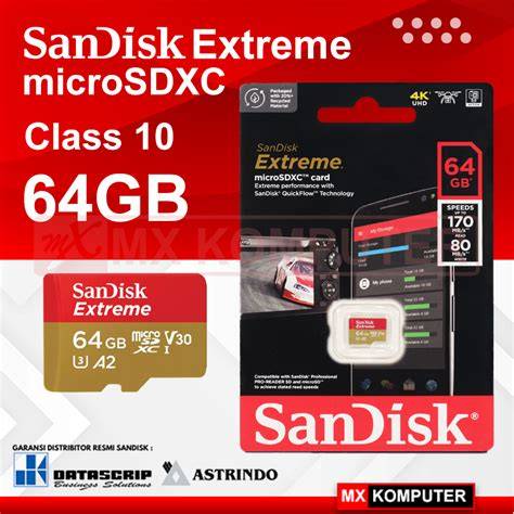 Microsd class10 64gb PenalbaWeb.com