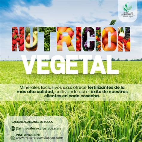 Minerales vegetal PenalbaWeb.com
