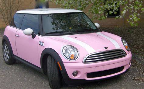 Mini rosa coche PenalbaWeb.com
