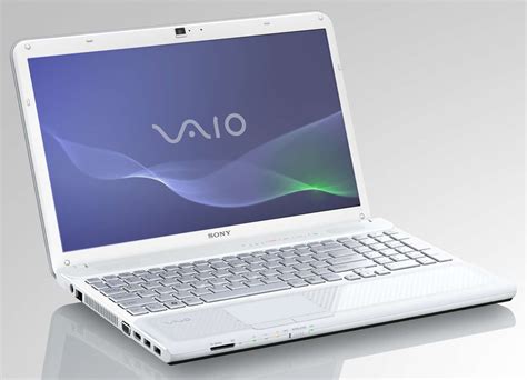 Model sony vaio PenalbaWeb.com