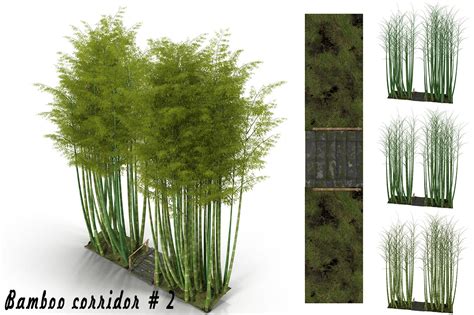 Modelo bambu PenalbaWeb.com