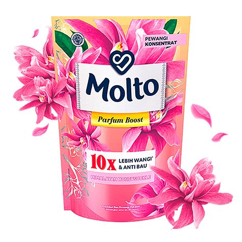 Molto PenalbaWeb.com