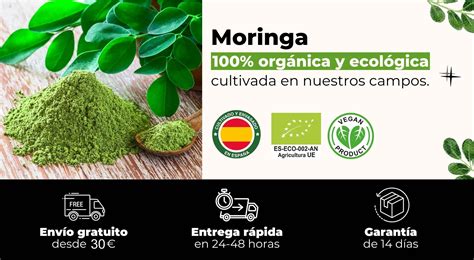 Moringa en españa PenalbaWeb.com