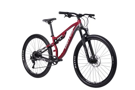 Mountain bike doble PenalbaWeb.com