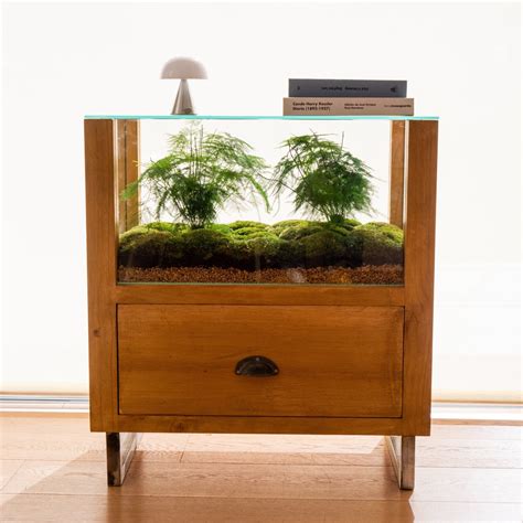 Mueble terrario PenalbaWeb.com