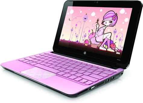 Netbook rosa PenalbaWeb.com