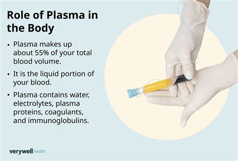 New plasma PenalbaWeb.com