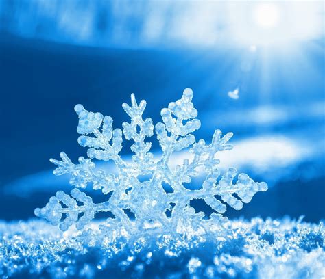 Nieve PenalbaWeb.com