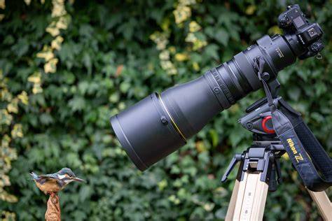 Nikon 600mm PenalbaWeb.com