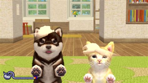 Nintendogs cats PenalbaWeb.com