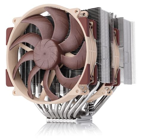 Noctua nh PenalbaWeb.com