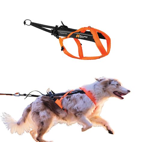 Non stop dogwear PenalbaWeb.com