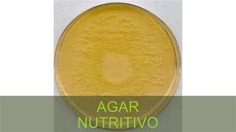 Nutritivo PenalbaWeb.com