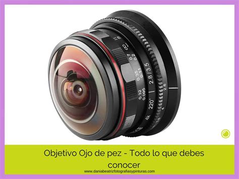 Objetivo ojo de pez PenalbaWeb.com