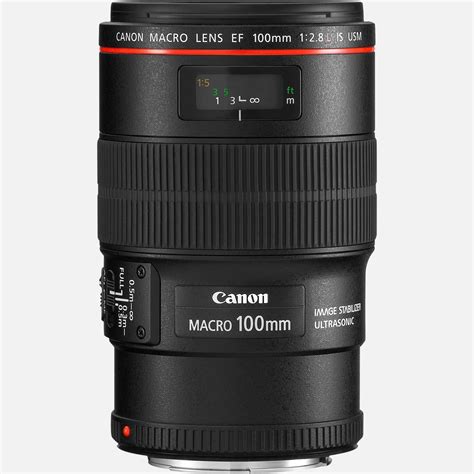 Objetivos para canon PenalbaWeb.com
